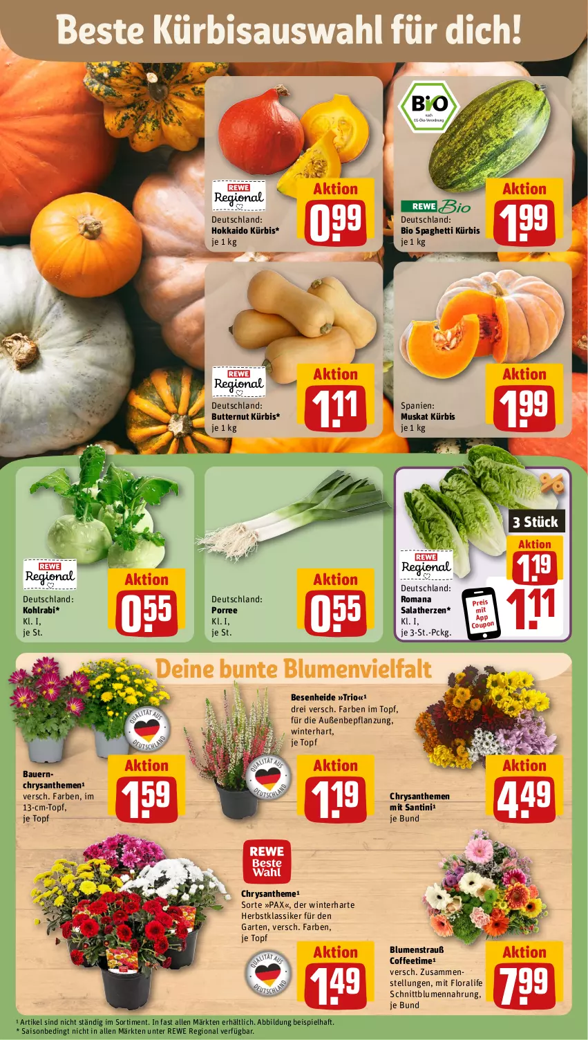 Aktueller Prospekt Rewe - Prospekte - von 07.10 bis 12.10.2024 - strona 7 - produkty: auer, Bau, Bauer, bio, blume, blumen, Blumenstrauß, butter, chrysanthemen, coupon, eis, Garten, kohlrabi, Kürbis, Pax, reis, salat, salatherzen, spaghetti, Ti, topf