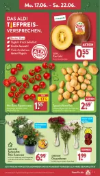 Gazetka promocyjna Aldi Nord - Von Montag - Gazetka - ważna od 22.06 do 22.06.2024 - strona 3 - produkty: aldi, angebot, Blüte, Brei, chrysanthemen, eis, Elan, Frühkartoffeln, kartoffel, kartoffeln, kiwi, Kiwi Gold, kulturtopf, LG, pflanze, reis, Ria, rispentomaten, Schal, Schale, speisefrühkartoffeln, Ti, tiefpreis, tomate, tomaten, topf, Vase, zespri, ZTE