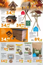 Gazetka promocyjna  - Gazetka - ważna od 20.09 do 20.09.2025 - strona 7 - produkty: beutel, blume, blumen, eimer, eis, elle, erdnuss, Holz, Knödel, Meisenknödel, nerf, nuss, pavillon, ring, sac, sonnenblume, sonnenblumen, Sonnenblumenkerne, sonnenblumenkernen, Streufutter, Ti, Vogelfutter, Wild