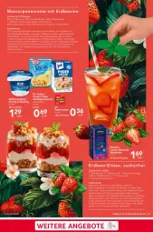 Gazetka promocyjna Selgros - Food - Gazetka - ważna od 04.06 do 04.06.2025 - strona 21 - produkty: angebot, angebote, beere, beeren, beutel, creme, dessert, desserts, Dr. Oetker, eis, eistee, eiswürfel, erdbeere, erdbeeren, frucht, garnier, Gläser, karamell, keks, kekse, leine, mac, mascarpone, püree, quark, Quarki, saft, schüssel, Soße, tee, Teebeutel, Ti, topf, vanille, wasser, weihenstephan, würfel, zitrone, zitronen, zitronensaft, ZTE, zucker