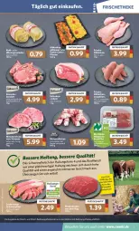 Gazetka promocyjna Combi - Prospekte - Gazetka - ważna od 19.02 do 19.02.2022 - strona 5 - produkty: angebot, angebote, auer, bacon, bio, braten, brustfilet, curry, eis, filet, filets, fleisch, Frische Hähnchen, gewürz, hirtenkäse, Hirtenröllchen, Käse, kasseler, kotelett, mac, Mantel, minutensteaks, natur, pfanne, pute, rind, rinder, rinderbraten, rouladen, schinken, schwein, schweine, schweinefilet, schweinefleisch, steak, steaks, Ti, wein, weine, Wirsing, wurst