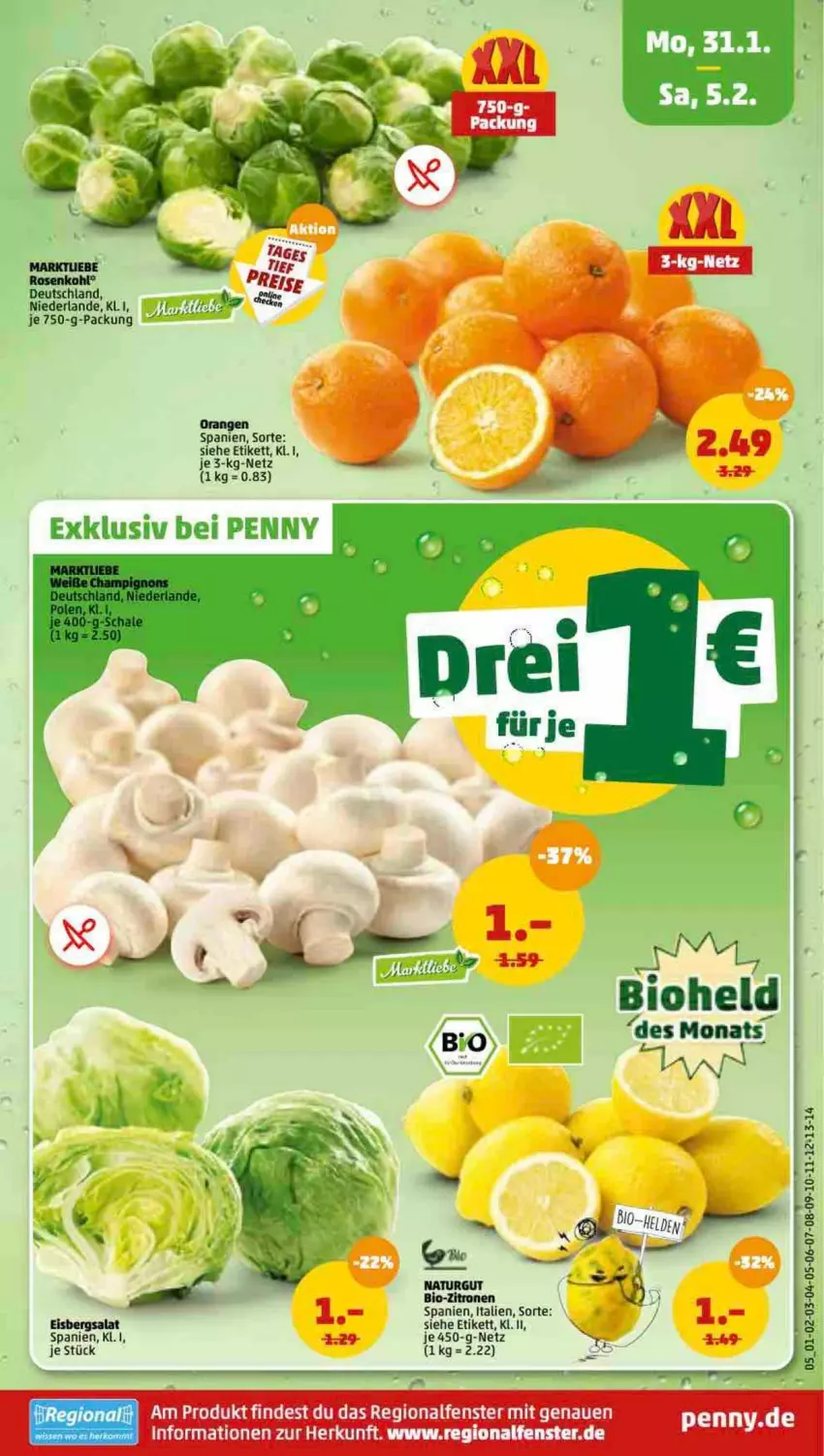 Aktueller Prospekt Penny - Prospekte - von 31.01 bis 05.02.2022 - strona 5 - produkty: bio, bio-zitronen, fenster, natur, salat, Ti, zitrone, zitronen