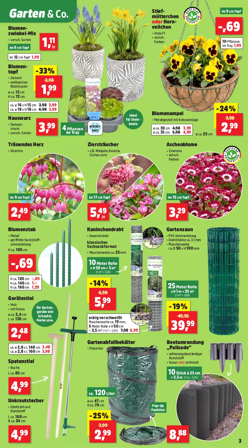 Aktueller Prospekt Thomas Philipps - von 23.03 bis 28.03.2026 - strona 5 - produkty: Beetumrandung, Behälter, blume, blumen, Blumenampel, braun, buch, cin, Draht, edelstahl, Garten, Hauswurz, Holz, kokos, Kraut, LG, Mantel, pflanze, pflanzen, Ria, Sempervivum, Spaten, Ti, topf, Zement, zwiebel
