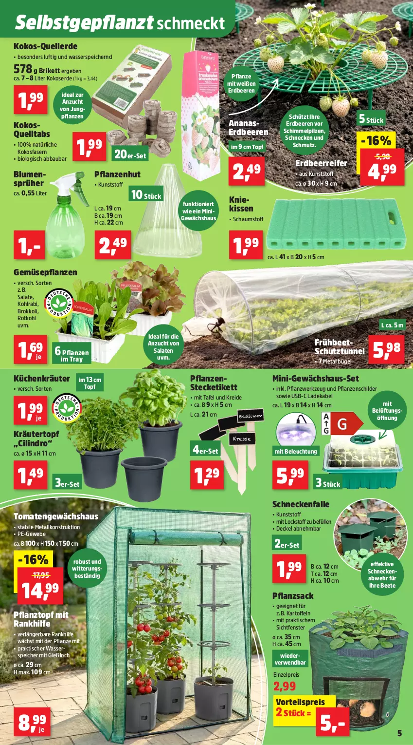 Aktueller Prospekt Thomas Philipps - von 23.03 bis 28.03.2026 - strona 9 - produkty: Abba, ananas, basilikum, Bau, beere, beeren, beleuchtung, bio, blume, blumen, brokkoli, bügel, decke, Deckel, deka, eis, elle, erdbeere, erdbeeren, erde, fenster, Gewächshaus, kartoffel, kartoffeln, kissen, Kniekissen, kohlrabi, kokos, kräuter, Kreide, küche, Küchen, ladekabel, pflanze, pflanzen, Pflanztopf, pilze, reis, rotkohl, rwe, sac, salat, salate, Ti, tisch, tomate, tomaten, topf, usb, vorteilspreis, wasser, werkzeug