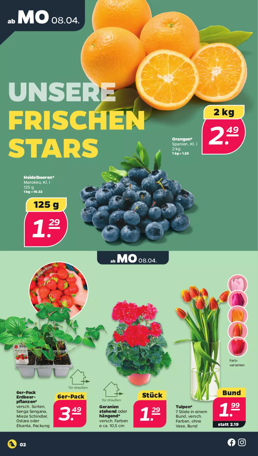 Aktueller Prospekt Netto - Woche 15 - von 08.04 bis 13.04.2024 - strona 2 - produkty: beere, beeren, Erdbeerpflanze, geranie, geranien, heidelbeere, heidelbeeren, orange, orangen, pflanze, pflanzen, Ria, Ti, Vase