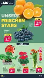 Gazetka promocyjna Netto - Woche 15 - Gazetka - ważna od 13.04 do 13.04.2024 - strona 2 - produkty: beere, beeren, Erdbeerpflanze, geranie, geranien, heidelbeere, heidelbeeren, orange, orangen, pflanze, pflanzen, Ria, Ti, Vase