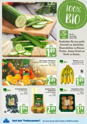 Gazetka promocyjna Edeka - Prospekte - Gazetka - ważna od 24.01 do 24.01.2026 - strona 12 - produkty: banane, bananen, beere, beeren, bio, braun, champignon, champignons, champignons braun, decke, eis, heidelbeere, heidelbeeren, kartoffel, kartoffeln, leine, mandarine, mandarinen, orange, orangen, payback, reis, speisekartoffeln, tee, tesa, Ti