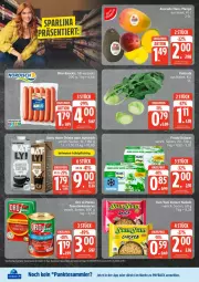 Gazetka promocyjna Edeka - Prospekte - Gazetka - ważna od 24.01 do 24.01.2026 - strona 24 - produkty: avocado, eier, kohlrabi, mango, nudel, nudeln, payback, spee, tee, tesa, Ti, Tiere, tomate, tomaten, Yum Yum