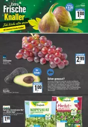 Gazetka promocyjna Edeka - Angebote der Woche - Gazetka - ważna od 17.09 do 17.09.2022 - strona 2 - produkty: avocado, avocados, Bau, beutel, bonduelle, braun, eis, elle, erde, fleisch, frucht, fruchtfleisch, Garten, kopfsalat, kräuter, Löffel, rum, saft, salat, Schal, Schale, tafeltrauben, trauben, zitrone, zitronen, zitronensaft