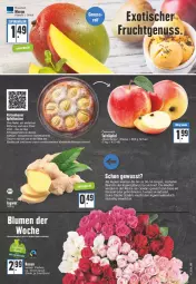 Gazetka promocyjna Edeka - Angebote der Woche - Gazetka - ważna od 17.09 do 17.09.2022 - strona 3 - produkty: angebot, apfel, Apfelkuchen, blume, blumen, eis, erde, gewürz, ingwer, küche, kuchen, LG, mac, mango, pflanze, rezept, rosen, saft, Schal, Schale, tafeläpfel, Ti