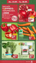 Gazetka promocyjna Aldi Nord - Von Montag - Gazetka - ważna od 28.09 do 28.09.2024 - strona 3 - produkty: aldi, angebot, apfel, bio, eis, gin, grana, granatapfel, kulturtopf, möhren, Narzissen, paprika, paprika rot, pflanze, Rana, reis, sac, Ti, topf, trolli, ZTE, zwiebel, zwiebeln