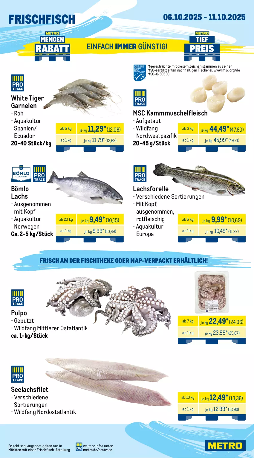 Aktueller Prospekt Metro - Wochen-Angebote Gastro - von 06.10 bis 11.10.2025 - strona 5 - produkty: Abtei, angebot, angebote, aqua, brustfilet, eis, elle, ente, Entenbrust, filet, fisch, fische, Fischer, fischtheke, fleisch, forelle, frischfisch, früchte, Gänsebrust, garnelen, gulasch, hafer, lachs, lachsfilet, meeresfrüchte, Metro, rel, rwe, Schere, schnitten, seelachsfilet, Ti, topf, Wild