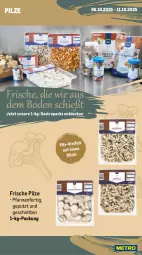 Gazetka promocyjna Metro - Wochen-Angebote Gastro - Gazetka - ważna od 11.10 do 11.10.2025 - strona 9 - produkty: datteltomaten, decke, eis, kartoffel, kartoffeln, kräuter, obst, pfanne, pfannen, pilze, reis, rum, sac, salat, schnitten, speisekartoffeln, Steinpilze, Ti, tiefpreis, tomate, tomaten, Wild