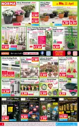 Gazetka promocyjna Norma - Norma - Gazetka - ważna od 29.04 do 29.04.2024 - strona 2 - produkty: auto, Bebe, blume, blumen, Blüte, dell, Draht, eis, elle, ente, fenster, fritz, Garten, gin, gutschein, gutscheine, Hängeleuchte, Kette, Kranz, kräuter, Kugel, leds, Leuchte, LG, mac, Mantel, Mett, Mode, natur, ndk, orange, petersilie, pflanze, pflanzen, pril, reis, ring, rosmarin, Schal, Schale, Schmetterling, Spiele, Teleskop, thermometer, Ti, tisch, topf, usb, wasser, werkzeug