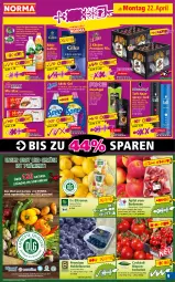 Gazetka promocyjna Norma - Norma - Gazetka - ważna od 29.04 do 29.04.2024 - strona 9 - produkty: aktionspreis, aktiv gel, apfel, arla, beere, beeren, beutel, bio, bio-zitronen, bonita, cocktail, deo, duschgel, eis, erde, flasche, früchte, Gewächshaus, Haarlack, haarspray, heidelbeere, heidelbeeren, himbeer, himbeere, kaffee, kuchen, lack, leine, LG, limette, limetten, mac, melone, melonen, Mett, metten, obst, Obst und Gemüse, pfirsich, pils, premium pils, pril, reis, rispentomaten, röstkaffee, Schal, Schale, Taft, tee, Ti, tiefpreis, tomate, tomaten, und gemüse, wasser, wassermelone, wassermelonen, zitrone, zitronen, ZTE