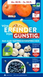 Gazetka promocyjna AldiSud - NÄCHSTE WOCHE - Gazetka - ważna od 04.11 do 04.11.2023 - strona 4 - produkty: aldi, beere, beeren, bio, champignon, champignons, eis, heidelbeere, heidelbeeren, kracher, reis, Schal, Schale, Ti, ZTE