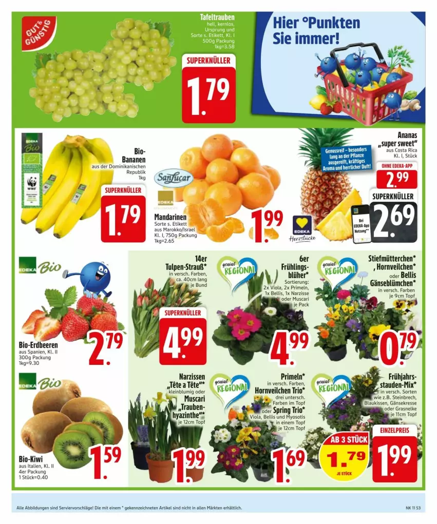 Aktueller Prospekt Edeka - Prospekte - von 10.03 bis 17.03.2025 - strona 5 - produkty: banane, bananen, beere, beeren, bio, deka, erdbeere, erdbeeren, kissen, kiwi, mandarine, mandarinen, Narzissen, Primeln, stauden, Ti, topf, trauben