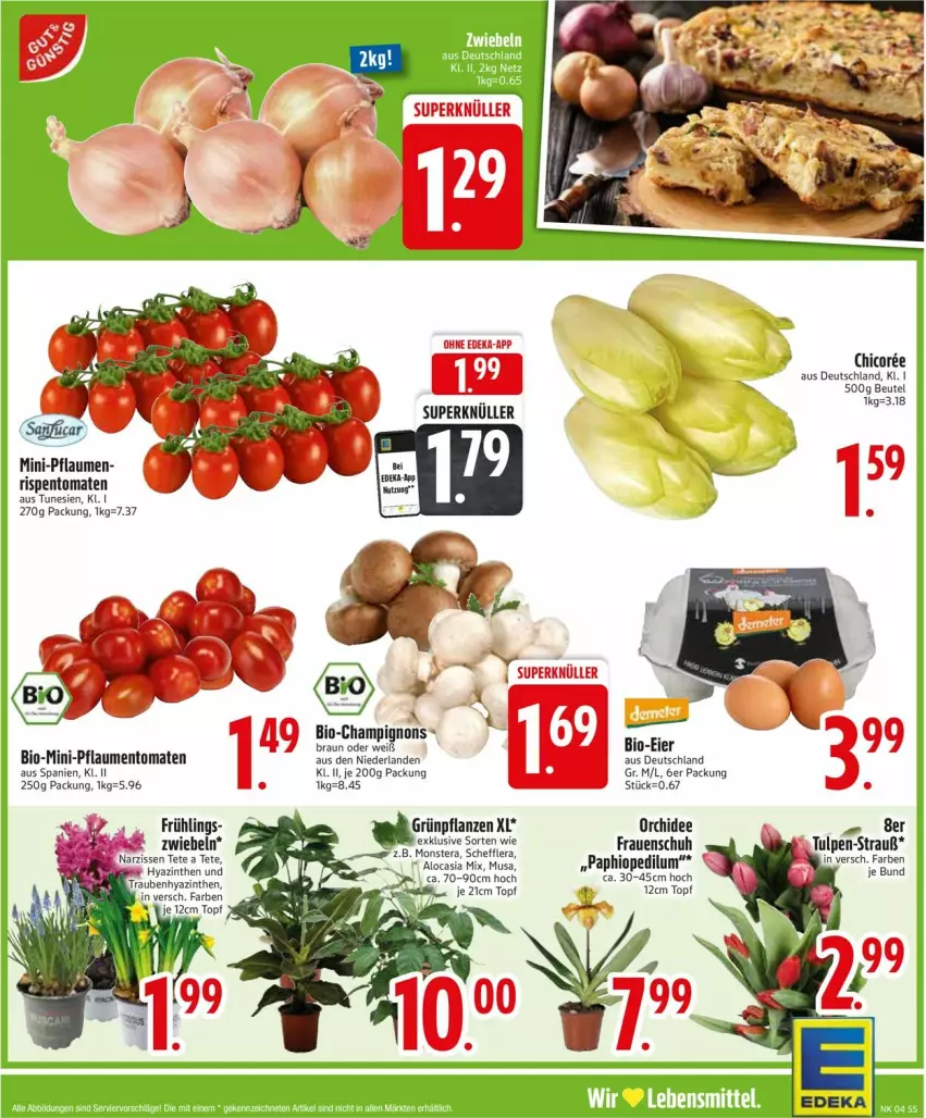 Aktueller Prospekt Edeka - Prospekte - von 20.01 bis 25.01.2025 - strona 7 - produkty: beutel, bio, braun, deka, eier, Grünpflanzen, monster, Monstera, orchidee, pflanze, pflanzen, pflaume, pflaumen, rispentomaten, tomate, tomaten, topf, trauben