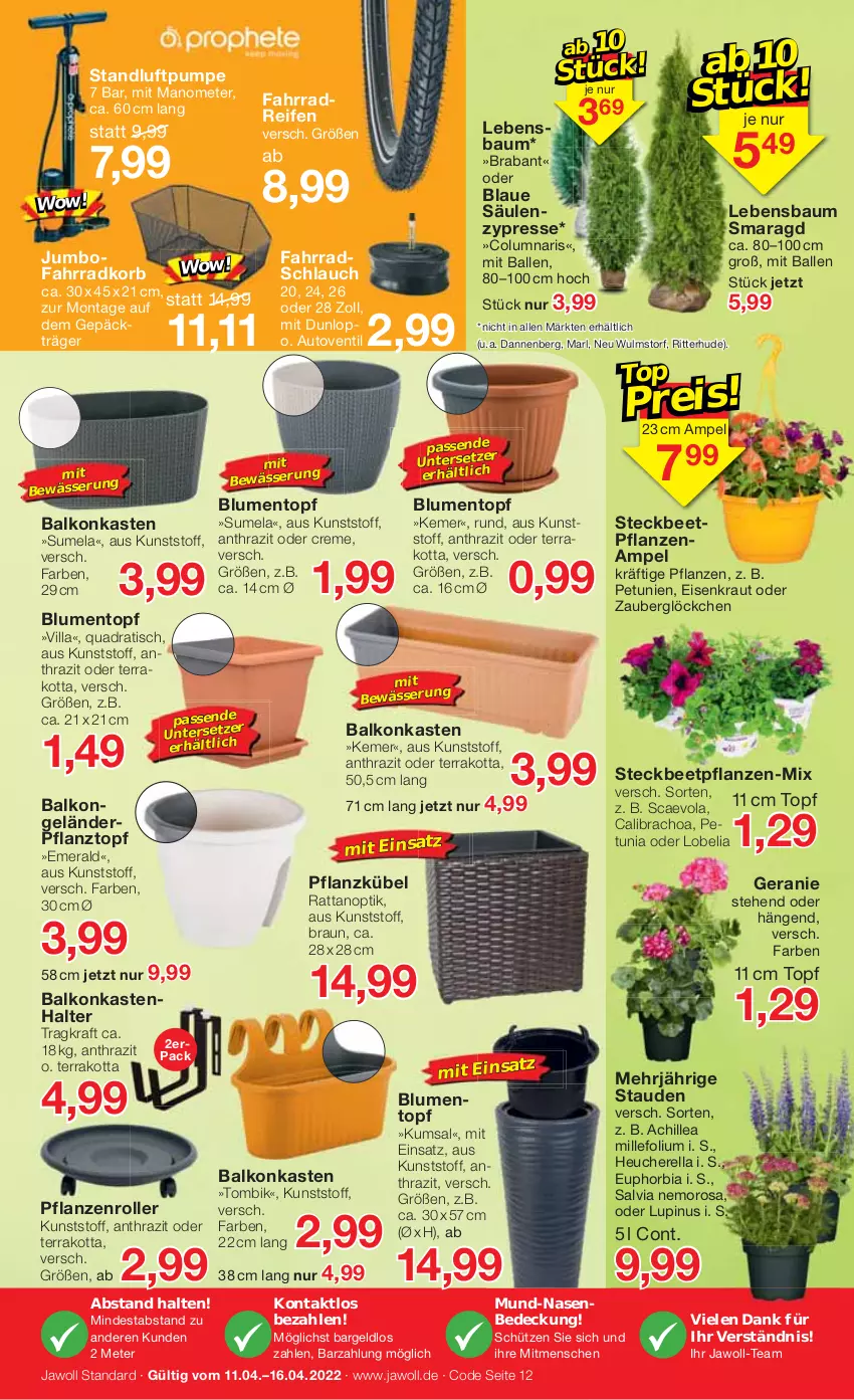 Aktueller Prospekt Jawoll - Prospekte - von 10.04 bis 16.04.2022 - strona 16 - produkty: auto, ball, Bau, beetpflanzen, blume, blumen, braun, calibrachoa, creme, dunlop, eis, Fahrrad, geranie, Heu, jumbo, korb, kraft, Kraut, petunie, petunien, pflanze, pflanzen, Pflanztopf, quad, reifen, rel, ritter, Roller, schlauch, Schütze, stauden, Ti, tisch, topf, zauberglöckchen