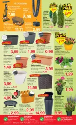 Gazetka promocyjna Jawoll - Prospekte - Gazetka - ważna od 16.04 do 16.04.2022 - strona 16 - produkty: auto, ball, Bau, beetpflanzen, blume, blumen, braun, calibrachoa, creme, dunlop, eis, Fahrrad, geranie, Heu, jumbo, korb, kraft, Kraut, petunie, petunien, pflanze, pflanzen, Pflanztopf, quad, reifen, rel, ritter, Roller, schlauch, Schütze, stauden, Ti, tisch, topf, zauberglöckchen