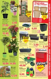 Gazetka promocyjna Jawoll - Prospekte - Gazetka - ważna od 16.04 do 16.04.2022 - strona 7 - produkty: apfel, Bau, Container, eis, Feigen, Ficus, flasche, Garten, Gewächshaus, kirsch, kirsche, korb, obst, olive, oliven, Pflanztopf, pflaume, Rauch, reis, rosen, schubladen, sprühflasche, top-preis, topf, übertopf