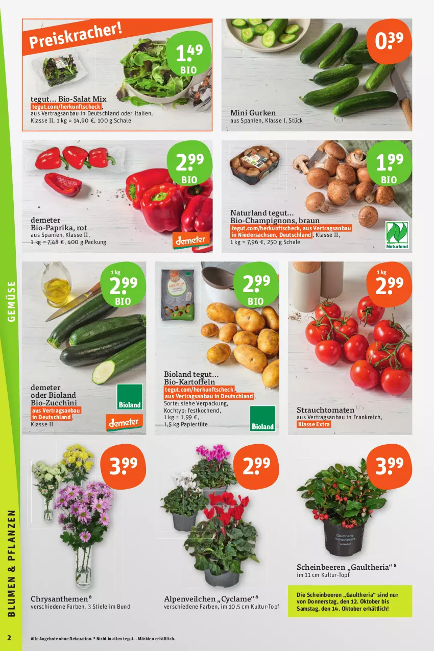 Aktueller Prospekt Tegut - Angebote der Woche - von 09.10 bis 14.10.2023 - strona 2 - produkty: Alpenveilchen, angebot, angebote, Bau, beere, beeren, bio, Bio-Paprika, bio-zucchini, bioland, braun, champignon, champignons, chrysanthemen, dekoration, eis, gurke, gurken, kartoffel, kartoffeln, natur, naturland, papier, Papiertüte, paprika, Rauch, reis, Ria, sac, salat, Schal, Schale, strauchtomaten, Ti, tomate, tomaten, topf, Tüte, zucchini