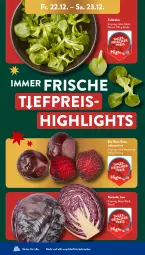 Gazetka promocyjna AldiSud - NÄCHSTE WOCHE - Gazetka - ważna od 23.12 do 23.12.2023 - strona 47 - produkty: aldi, bio, eis, feldsalat, kracher, reis, reiss, rote bete, rotkohl, salat, Schal, Schale, Ti