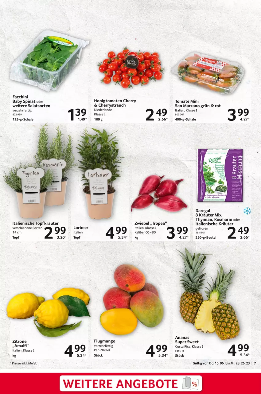 Aktueller Prospekt Selgros - Geniesser - von 15.06 bis 28.06.2023 - strona 7 - produkty: ACC, ananas, angebot, angebote, beutel, eis, honig, Honigtomaten, kräuter, mango, Rauch, regal, reis, rosmarin, salat, Schal, Schale, spinat, Ti, tomate, tomaten, topf, zitrone, zwiebel