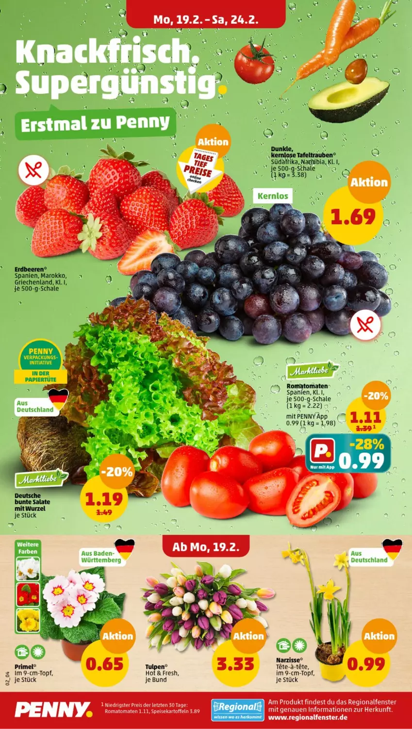 Aktueller Prospekt Penny - Prospekte - von 19.02 bis 24.02.2024 - strona 2 - produkty: beere, beeren, eis, erdbeere, erdbeeren, fenster, im 9-cm-topf, kartoffel, kartoffeln, reis, Romatomaten, Schal, Schale, speisekartoffeln, Ti, tomate, tomaten, topf, uhr, ZTE