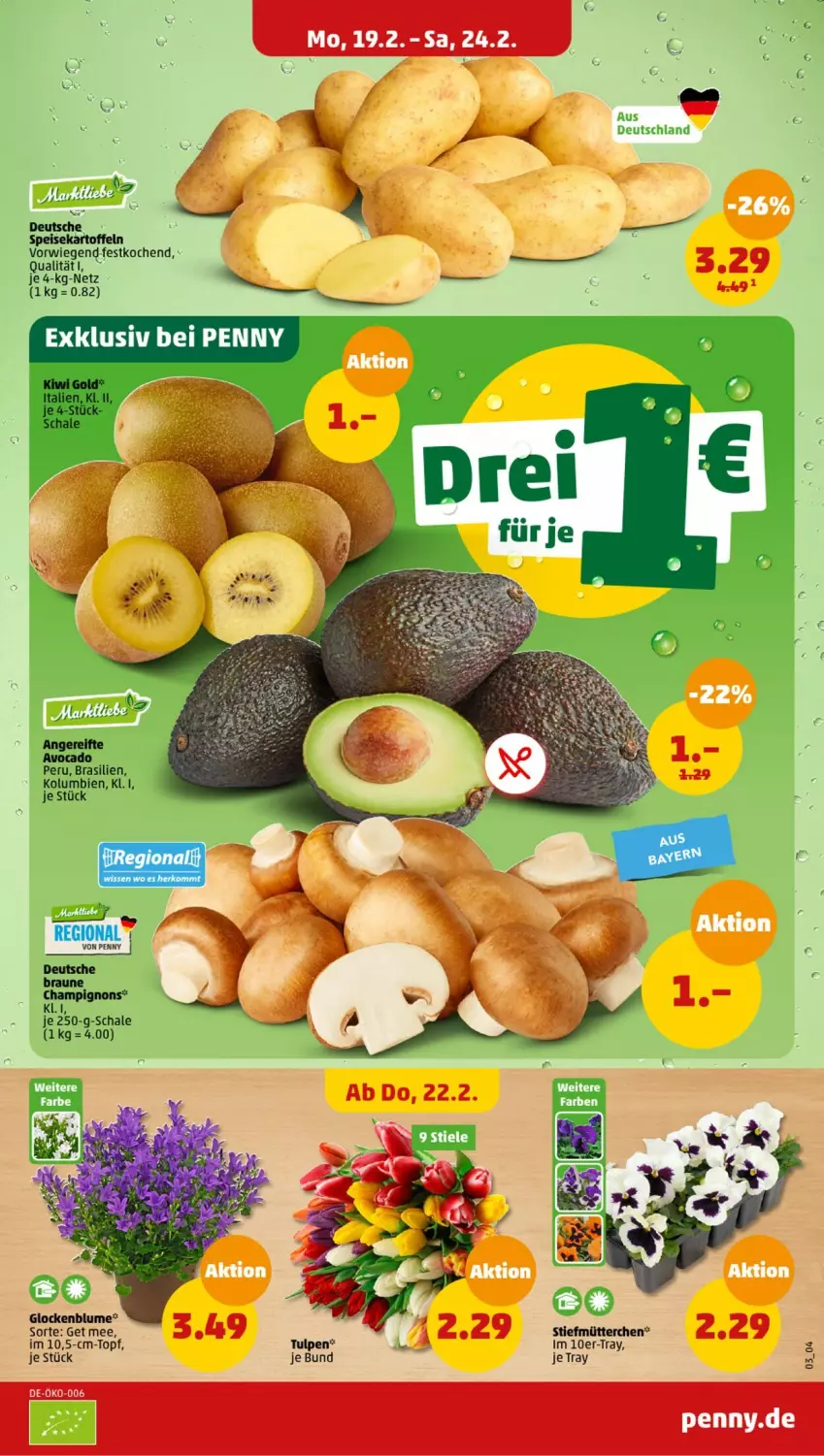 Aktueller Prospekt Penny - Prospekte - von 19.02 bis 24.02.2024 - strona 3 - produkty: blume, braun, eis, Schal, Schale, Ti, topf