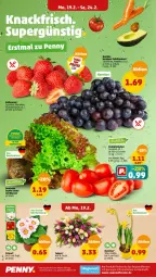 Gazetka promocyjna Penny - Prospekte - Gazetka - ważna od 24.02 do 24.02.2024 - strona 2 - produkty: beere, beeren, eis, erdbeere, erdbeeren, fenster, im 9-cm-topf, kartoffel, kartoffeln, reis, Romatomaten, Schal, Schale, speisekartoffeln, Ti, tomate, tomaten, topf, uhr, ZTE