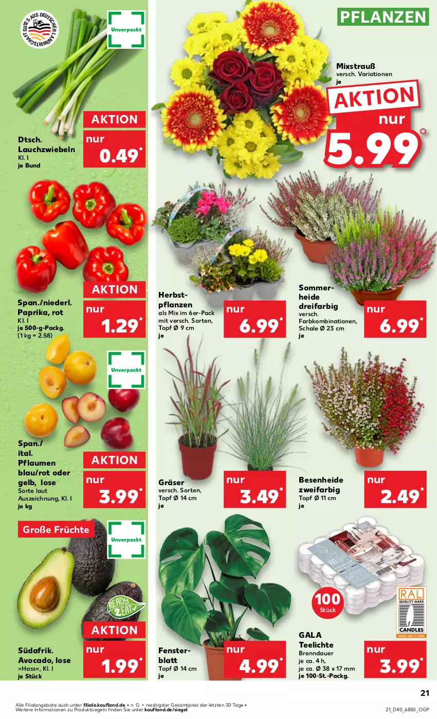 Aktueller Prospekt Kaufland - Prospekt - von 04.10 bis 09.10.2024 - strona 21 - produkty: angebot, angebote, auer, avocado, eis, fenster, früchte, Lauchzwiebel, lauchzwiebeln, paprika, pflanze, pflanzen, pflaume, pflaumen, reis, Ria, Schal, Schale, tee, Teelicht, teelichte, Ti, topf, ZTE, zwiebel, zwiebeln