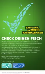 Gazetka promocyjna Kaufland - Prospekt - Gazetka - ważna od 09.10 do 09.10.2024 - strona 55 - produkty: angebot, angebote, aqua, fisch, fische, Fischer, mac, Schere, Ti