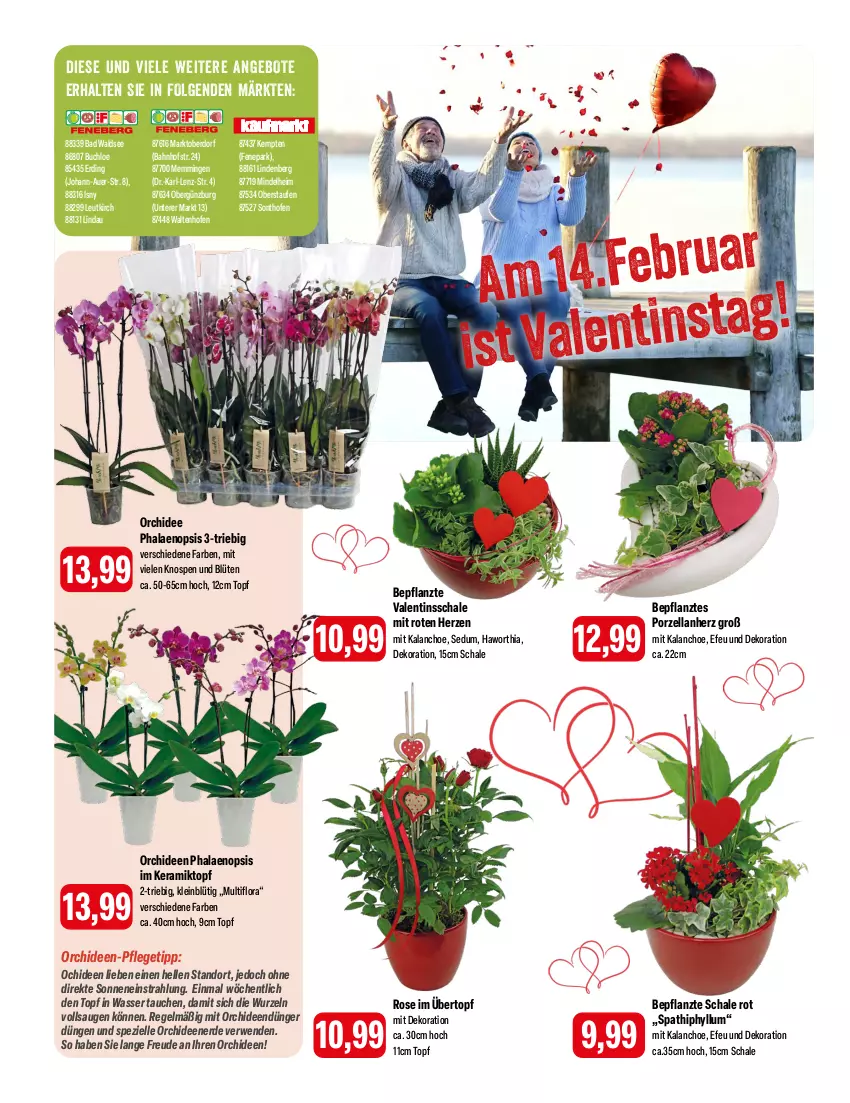 Aktueller Prospekt Feneberg - Prospekte - von 08.02 bis 10.02.2024 - strona 14 - produkty: angebot, angebote, auer, Bad, Blüte, buch, chloe, dekoration, dünger, elle, emmi, erde, Kalanchoe, LG, Ofen, orchidee, orchideen, Orchideenerde, phalaenopsis, rwe, Schal, Schale, Spezi, Ti, topf, übertopf, wasser, ZTE