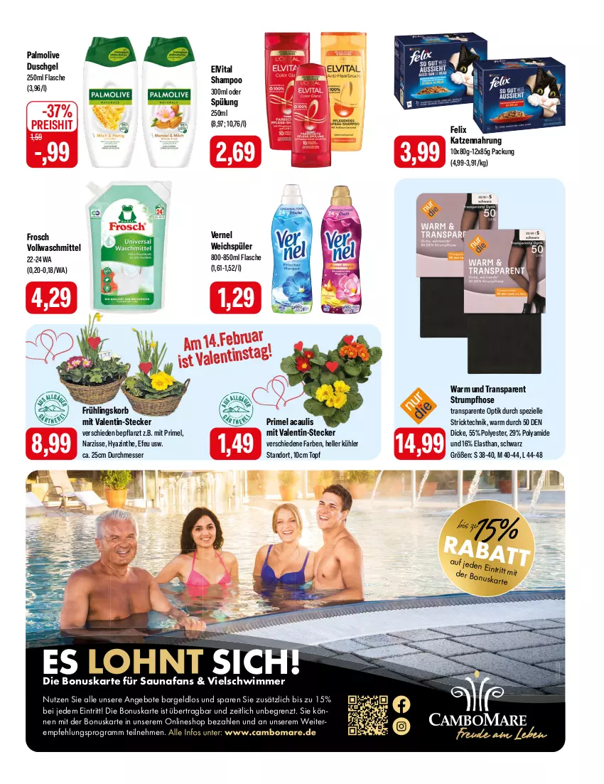 Aktueller Prospekt Feneberg - Prospekte - von 08.02 bis 10.02.2024 - strona 15 - produkty: angebot, angebote, duschgel, eis, elle, elvital, ente, felix, flasche, Frosch, hose, katzennahrung, korb, LG, messer, olive, palmolive, reis, rum, shampoo, Spezi, spülung, Strumpfhose, Ti, topf, vernel, vita, vollwaschmittel, waschmittel, weichspüler