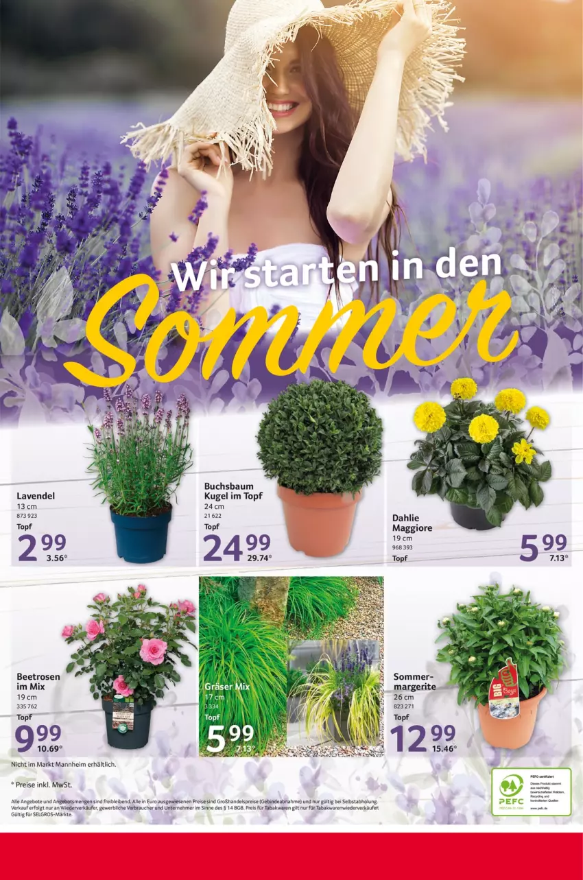 Aktueller Prospekt Selgros - Food - von 15.06 bis 21.06.2023 - strona 24 - produkty: angebot, angebote, Bau, buch, dahlie, eis, Kugel, lavendel, LG, maggi, Rauch, reis, rosen, Ti, topf