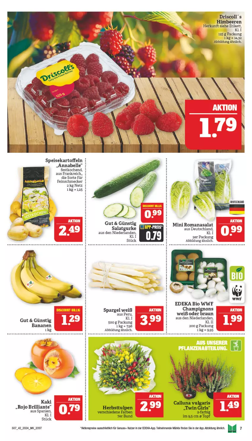 Aktueller Prospekt Marktkauf - Prospekt - von 14.10 bis 19.10.2024 - strona 7 - produkty: aktionspreis, banane, bananen, beere, beeren, bio, braun, champignon, champignons, deka, edeka bio, eis, elle, feinschmecker, gurke, himbeer, himbeere, himbeeren, Kaki, kartoffel, kartoffeln, nuss, reis, Romanasalat, salat, Salatgurke, spargel, speisekartoffeln, tee, Ti