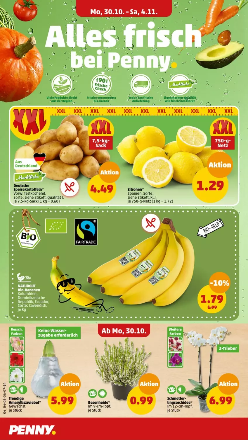 Aktueller Prospekt Penny - Prospekte - von 30.10 bis 04.11.2023 - strona 4 - produkty: bio, eis, im 9-cm-topf, kartoffel, kartoffeln, Mett, orchidee, sac, speisekartoffeln, Ti, topf, zitrone, zitronen, zwiebel