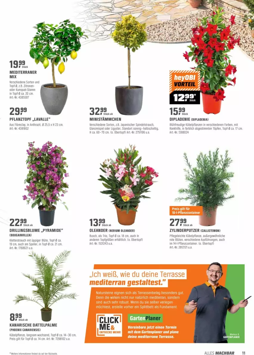 Aktueller Prospekt Obi - Prospekte - von 26.04 bis 15.05.2022 - strona 11 - produkty: blume, Blüte, Container, dip, dipladenia, eis, kübelpflanzen, mac, pflanze, pflanzen, Pflanztopf, Rauch, reis, Ti, topf, übertopf, zitrone, zitronen