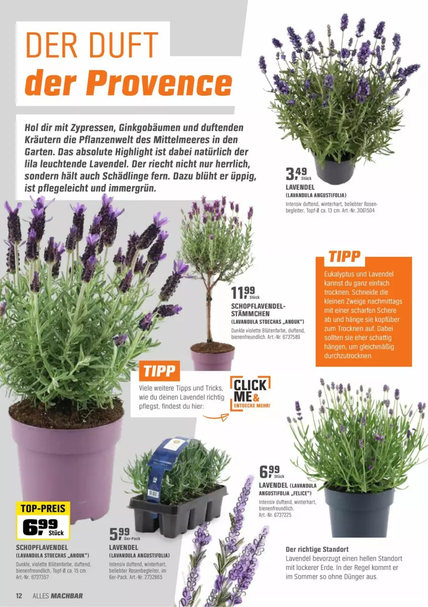 Aktueller Prospekt Obi - Prospekte - von 26.04 bis 15.05.2022 - strona 12 - produkty: Blüte, dünger, eis, elle, erde, Garten, gin, kräuter, kräutern, lavendel, Leuchte, leuchten, mac, pflanze, pflanzen, reis, rosen, Ti, top-preis, topf