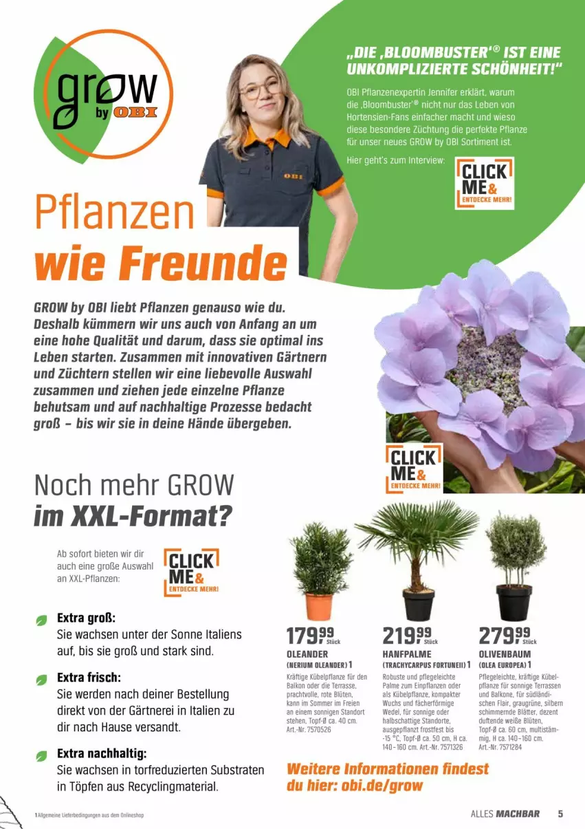 Aktueller Prospekt Obi - Prospekte - von 26.04 bis 15.05.2022 - strona 5 - produkty: Bau, Blüte, Clin, elle, ente, erde, hortensie, hortensien, mac, olive, oliven, pflanze, pflanzen, recyclingmaterial, Ria, rum, Ti, topf, wedel