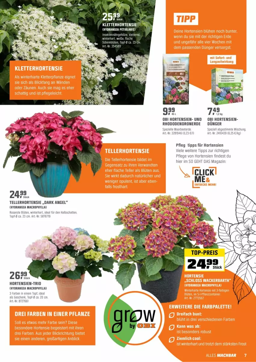 Aktueller Prospekt Obi - Prospekte - von 26.04 bis 15.05.2022 - strona 7 - produkty: Blüte, dünger, elle, erde, hortensie, hortensien, hydrangea, hydrangea macrophylla, mac, magazin, saro, sekt, Spezi, teller, Ti, topf