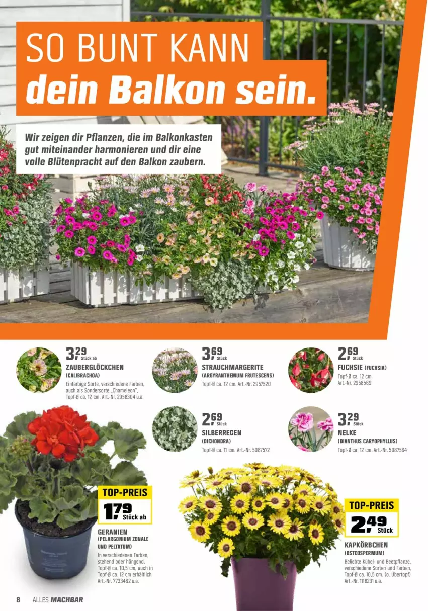 Aktueller Prospekt Obi - Prospekte - von 26.04 bis 15.05.2022 - strona 8 - produkty: Blüte, eis, geranie, geranien, Körbchen, mac, Pelargonium, pflanze, pflanzen, Rauch, reis, top-preis, topf, übertopf, Yo, zauberglöckchen