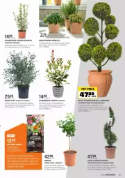 Gazetka promocyjna Obi - Prospekte - Gazetka - ważna od 15.05 do 15.05.2022 - strona 13 - produkty: Container, dekoration, eis, erde, Garten, gin, Ginkgo Biloba, heinz, kräuter, lavendel, mac, Mode, pflanze, pflanzen, Rauch, reis, rosmarin, schnitten, Ti, top-preis, topf, übertopf, Vase, Wella