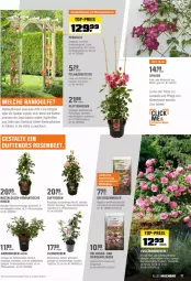 Gazetka promocyjna Obi - Prospekte - Gazetka - ważna od 15.05 do 15.05.2022 - strona 17 - produkty: bambus, Brei, Container, eis, erde, Holz, lavendel, LG, mac, pflanze, pflanzen, Rauch, reis, rosen, Spezi, Ti, tisch, top-preis, topf, wasser