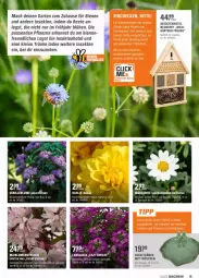 Gazetka promocyjna Obi - Prospekte - Gazetka - ważna od 15.05 do 15.05.2022 - strona 19 - produkty: blume, bree, dahlie, Garten, Lätzche, leine, mac, pflanze, pflanzen, Ria, sekt, tee, Ti, topf, übertopf, vanille, Wild