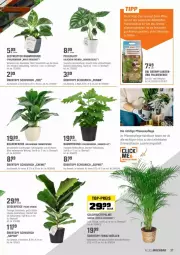 Gazetka promocyjna Obi - Prospekte - Gazetka - ważna od 15.05 do 15.05.2022 - strona 37 - produkty: Bau, buch, creme, eis, erde, Ficus, frucht, gin, Grünpflanzen, Heu, mac, Müller, natur, pflanze, pflanzen, Rauch, reis, Ti, top-preis, topf, Topfen, übertopf, wasser