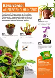 Gazetka promocyjna Obi - Prospekte - Gazetka - ważna od 15.05 do 15.05.2022 - strona 38 - produkty: Bank, decke, eis, erde, fenster, fensterbank, fleisch, HP, Kraut, LG, Liege, pflanze, pflanzen, schlauch, sekt, Ti, tisch, topf, übertopf, venus