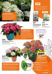 Gazetka promocyjna Obi - Prospekte - Gazetka - ważna od 15.05 do 15.05.2022 - strona 7 - produkty: Blüte, dünger, elle, erde, hortensie, hortensien, hydrangea, hydrangea macrophylla, mac, magazin, saro, sekt, Spezi, teller, Ti, topf