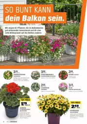 Gazetka promocyjna Obi - Prospekte - Gazetka - ważna od 15.05 do 15.05.2022 - strona 8 - produkty: Blüte, eis, geranie, geranien, Körbchen, mac, Pelargonium, pflanze, pflanzen, Rauch, reis, top-preis, topf, übertopf, Yo, zauberglöckchen